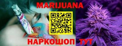 гидра Гатчина
