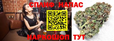 гашик Гагарин