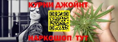 гидра Гатчина