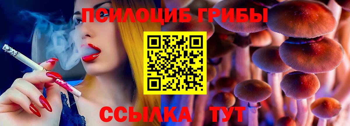 Галлюциногенные грибы прущие грибы  Вход с VPN  Грозный 
